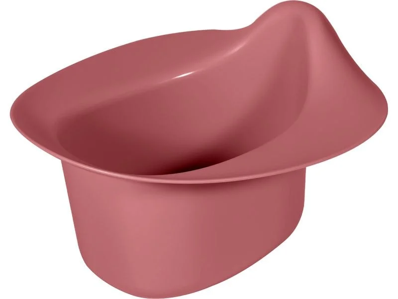 brack-25623099