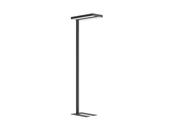 dinichance5015431