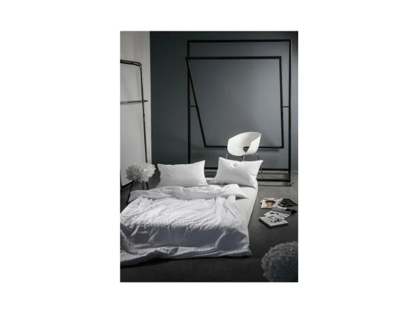 dinichance5017197